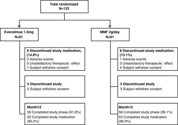 Efficacy and safety of concentration-controlled everolimus with reduced-dose cyclosporine in Japanese de novo renal transplant patients: 12-month results.