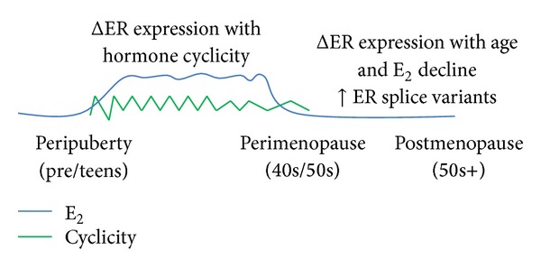 Estrogen signaling and the aging brain: context-dependent considerations for postmenopausal hormone therapy.