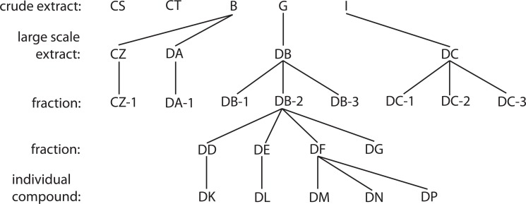 Inhibition of HIV-1 Replication by Secondary Metabolites From Endophytic Fungi of Desert Plants.