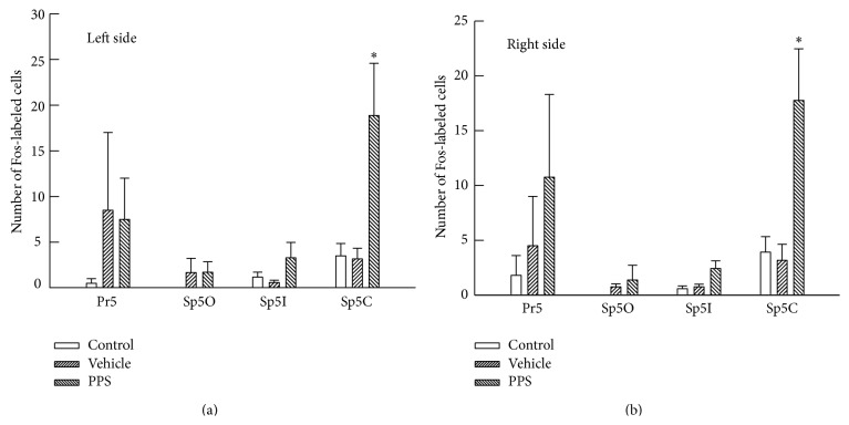 Neural Mechanisms That Underlie Angina-Induced Referred Pain in the Trigeminal Nerve Territory: A c-Fos Study in Rats.