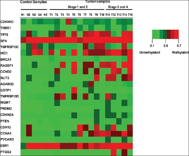 Restoration of the methylation status of hypermethylated gene promoters by microRNA-29b in human breast cancer: A novel epigenetic therapeutic approach.