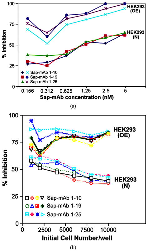 Saporin Conjugated Monoclonal Antibody to the Transcobalamin Receptor TCblR/<i>CD</i>320 Is Effective in Targeting and Destroying Cancer Cells.