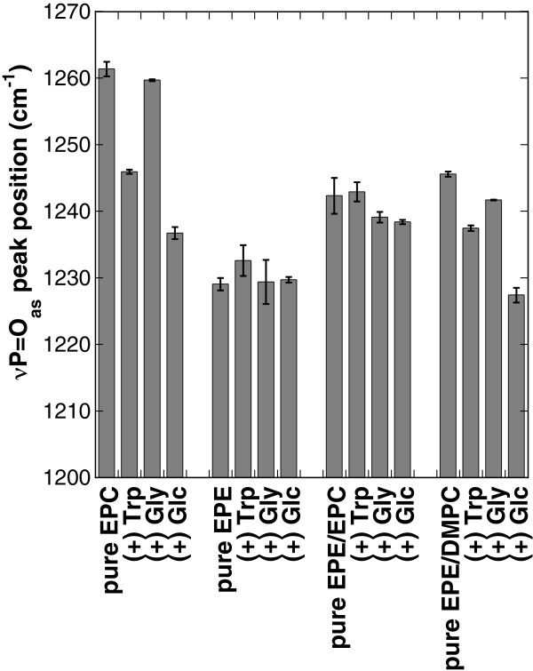 Interactions of the amphiphiles arbutin and tryptophan with phosphatidylcholine and phosphatidylethanolamine bilayers in the dry state.