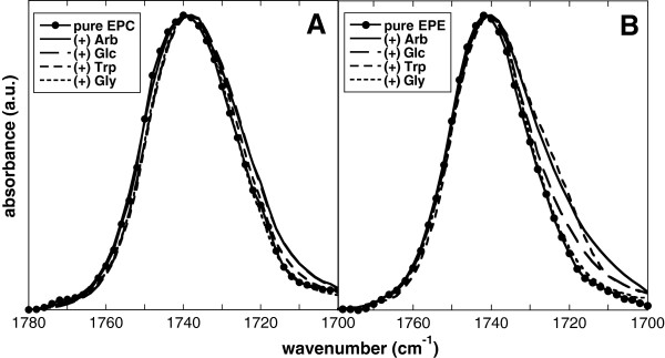 Interactions of the amphiphiles arbutin and tryptophan with phosphatidylcholine and phosphatidylethanolamine bilayers in the dry state.