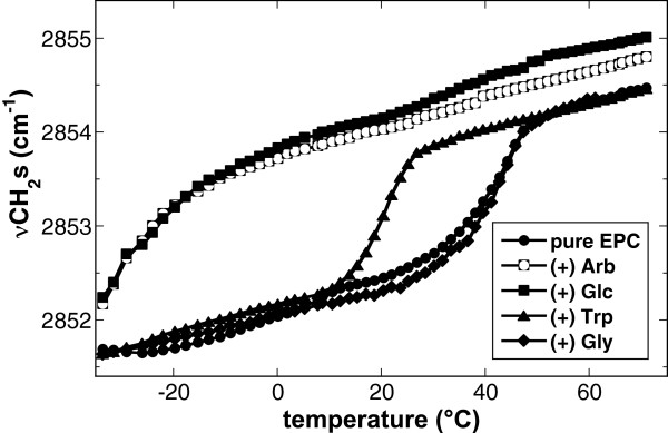 Interactions of the amphiphiles arbutin and tryptophan with phosphatidylcholine and phosphatidylethanolamine bilayers in the dry state.