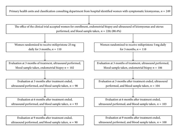 Treatment of Uterine Myoma with 2.5 or 5 mg Mifepristone Daily during 3 Months with 9 Months Posttreatment Followup: Randomized Clinical Trial.