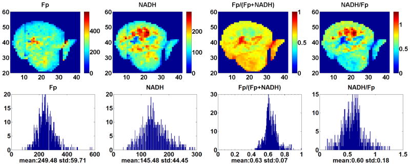 REDOX IMAGING OF THE p53-DEPENDENT MITOCHONDRIAL REDOX STATE IN COLON CANCER <i>EX VIVO</i>.