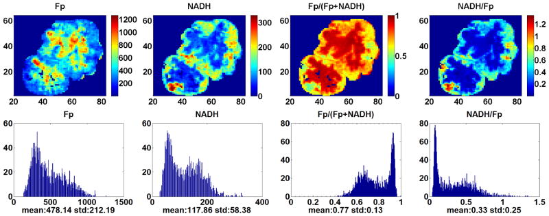 REDOX IMAGING OF THE p53-DEPENDENT MITOCHONDRIAL REDOX STATE IN COLON CANCER <i>EX VIVO</i>.