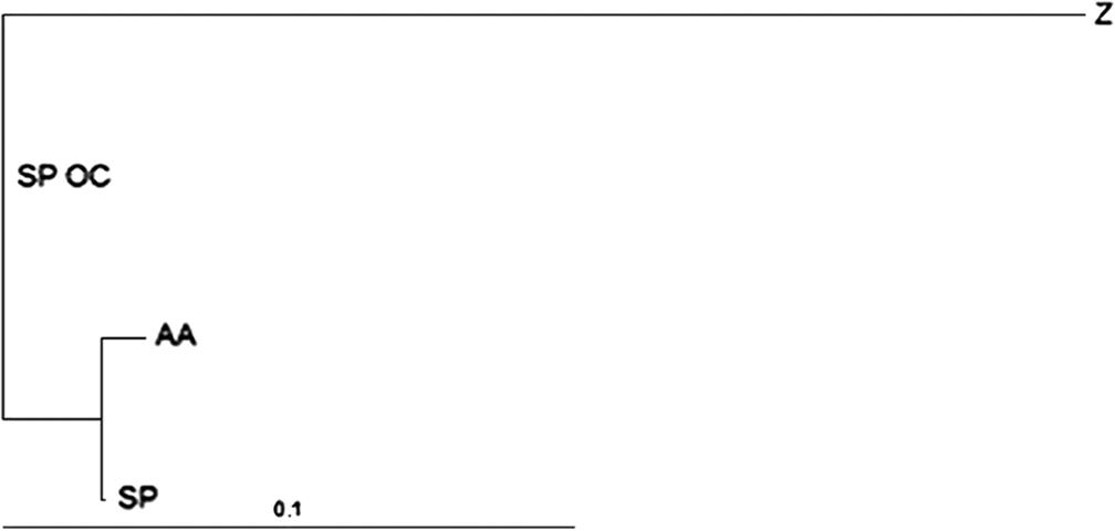 IHH gene polymorphism among three horse breeds and its application for association test in horses with osteochondrosis