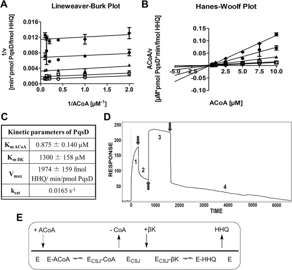 Molecular basis of HHQ biosynthesis: molecular dynamics simulations, enzyme kinetic and surface plasmon resonance studies.