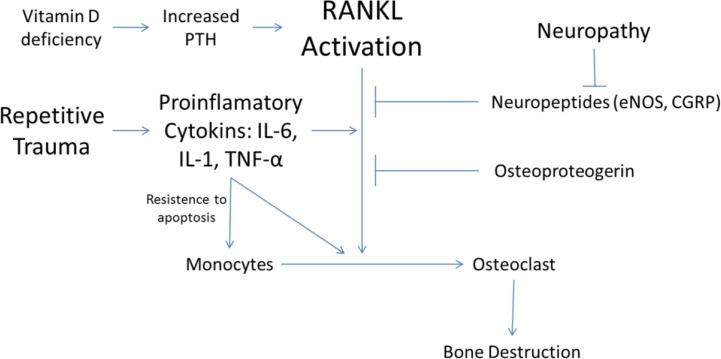 An overview of the Charcot foot pathophysiology.