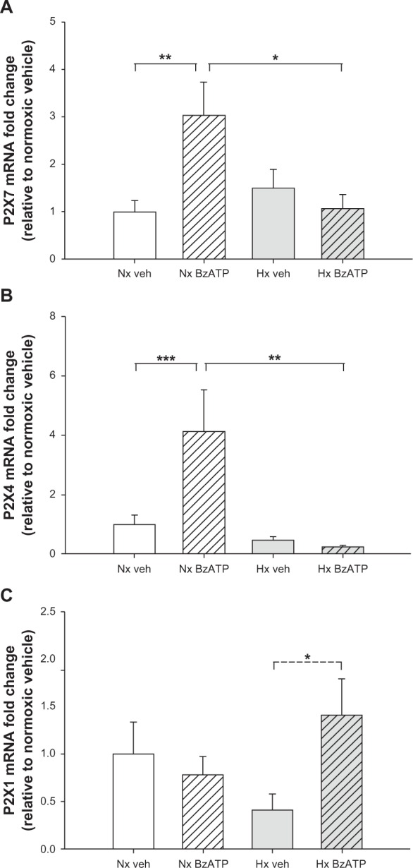 Hypoxia Attenuates Purinergic P2X Receptor-Induced Inflammatory Gene Expression in Brainstem Microglia.