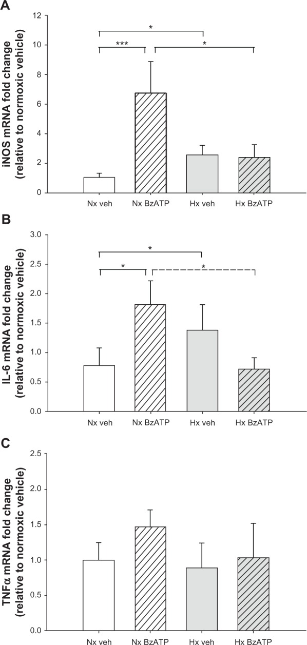 Hypoxia Attenuates Purinergic P2X Receptor-Induced Inflammatory Gene Expression in Brainstem Microglia.