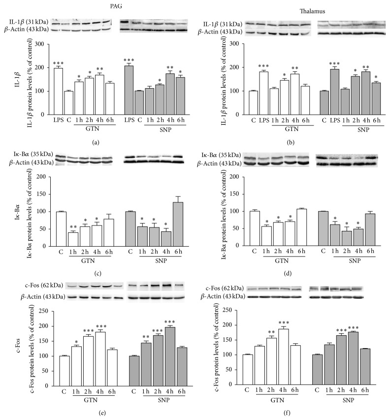 PKC-Dependent Signaling Pathways within PAG and Thalamus Contribute to the Nitric Oxide-Induced Nociceptive Behavior.