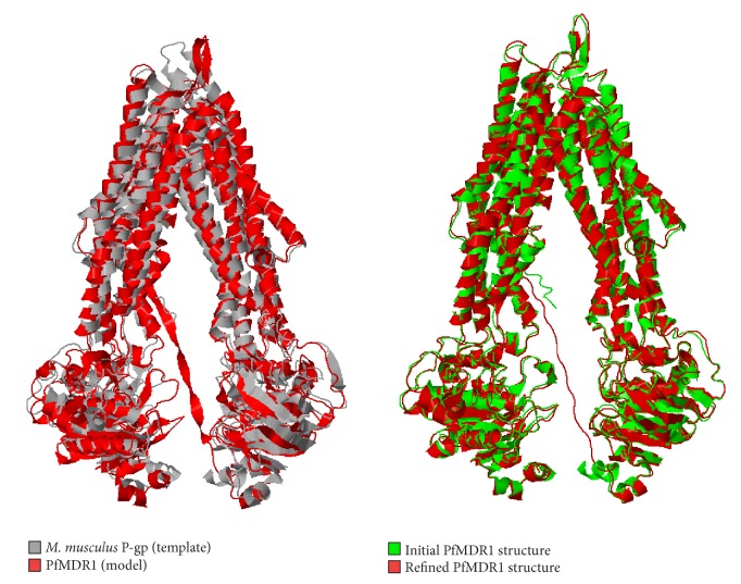 A Computational Approach towards the Understanding of Plasmodium falciparum Multidrug Resistance Protein 1.