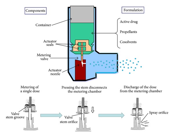 The challenge of delivering therapeutic aerosols to asthma patients.