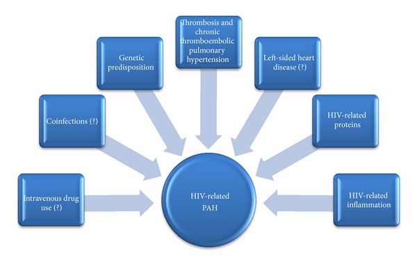 Human immunodeficiency virus and pulmonary arterial hypertension.