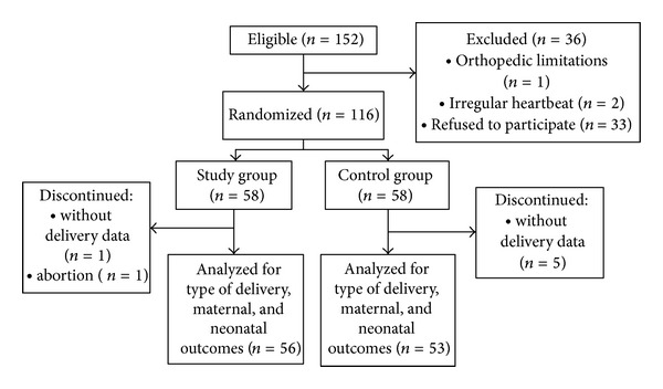 Maternal and Perinatal Outcomes of Exercise in Pregnant Women with Chronic Hypertension and/or Previous Preeclampsia: A Randomized Controlled Trial.