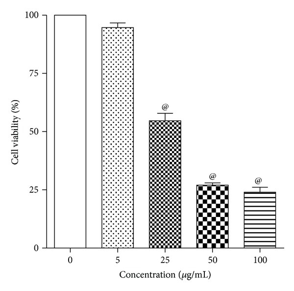 Nanosized zinc oxide induces toxicity in human lung cells.