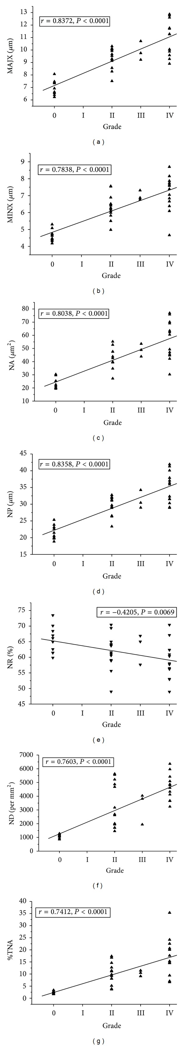 Utility of nuclear morphometry in predicting grades of diffusely infiltrating gliomas.