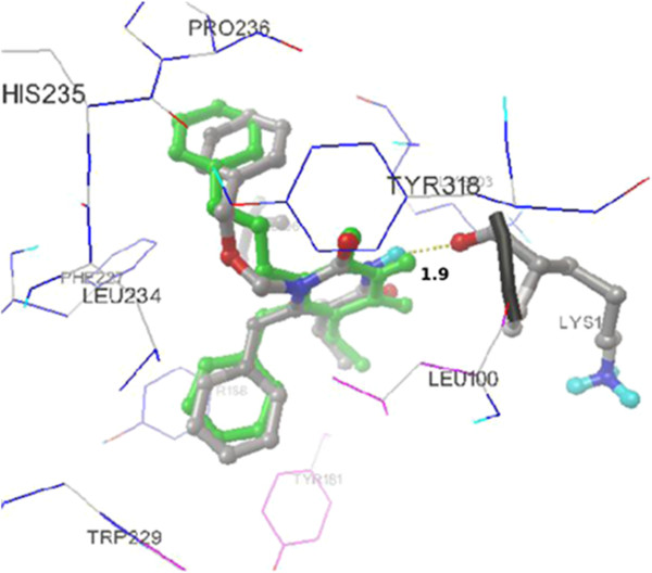 Design and synthesis of tetrahydrophthalimide derivatives as inhibitors of HIV-1 reverse transcriptase.