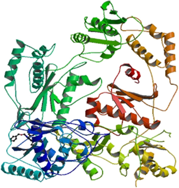 Design and synthesis of tetrahydrophthalimide derivatives as inhibitors of HIV-1 reverse transcriptase.