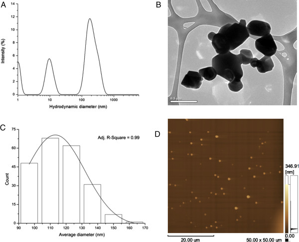 Kinetic effects of TiO2 fine particles and nanoparticles aggregates on the nanomechanical properties of human neutrophils assessed by force spectroscopy.