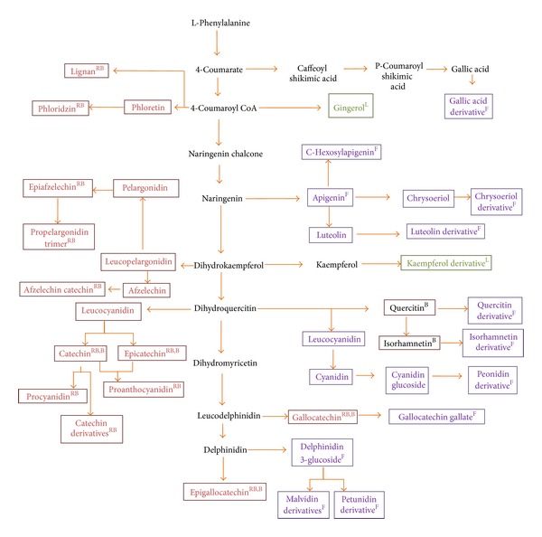 Nontargeted Identification of the Phenolic and Other Compounds of Saraca asoca by High Performance Liquid Chromatography-Positive Electrospray Ionization and Quadrupole Time-of-Flight Mass Spectrometry.