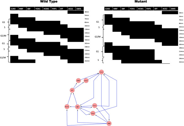 Inferring Boolean network states from partial information.