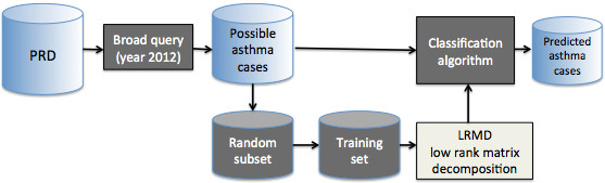 Potential identification of pediatric asthma patients within pediatric research database using low rank matrix decomposition.