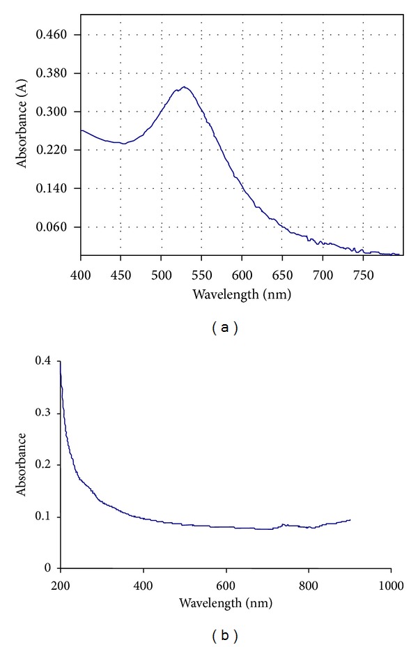 The effect of gold and iron-oxide nanoparticles on biofilm-forming pathogens.