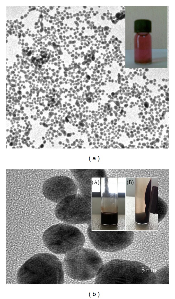 The effect of gold and iron-oxide nanoparticles on biofilm-forming pathogens.