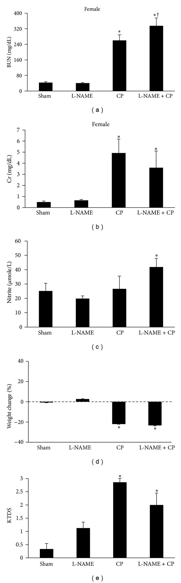 Inhibition of Nitric Oxide Synthase by L-NAME Promotes Cisplatin-Induced Nephrotoxicity in Male Rats.