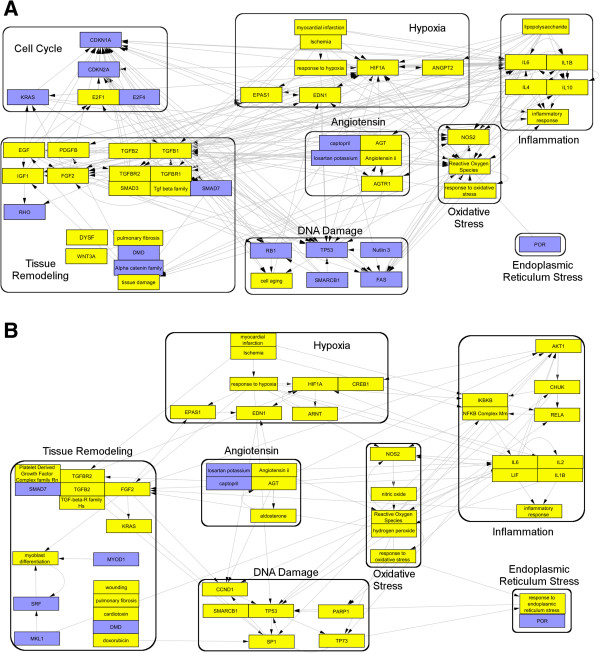 Assessing the translatability of in vivo cardiotoxicity mechanisms to in vitro models using causal reasoning.