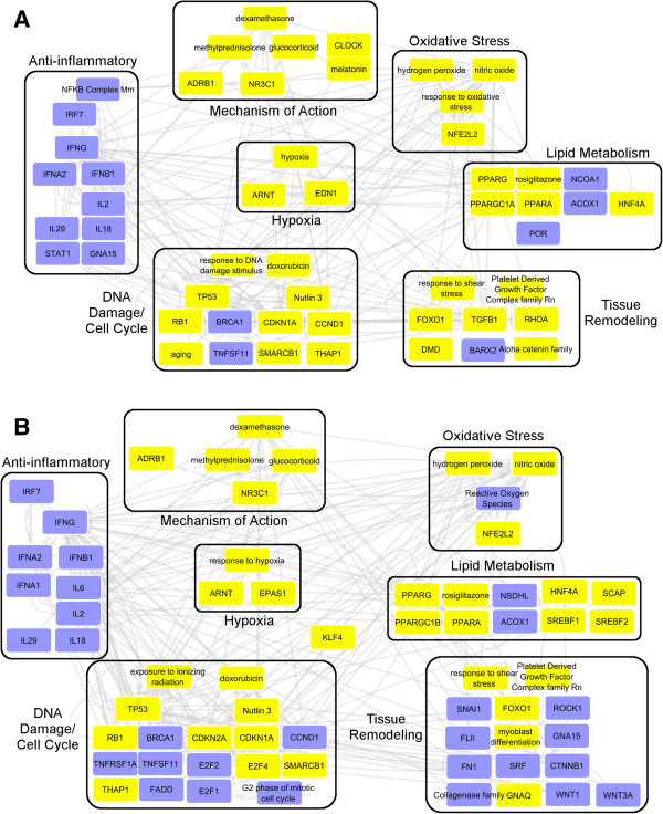 Assessing the translatability of in vivo cardiotoxicity mechanisms to in vitro models using causal reasoning.