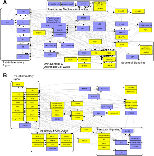 Assessing the translatability of in vivo cardiotoxicity mechanisms to in vitro models using causal reasoning.