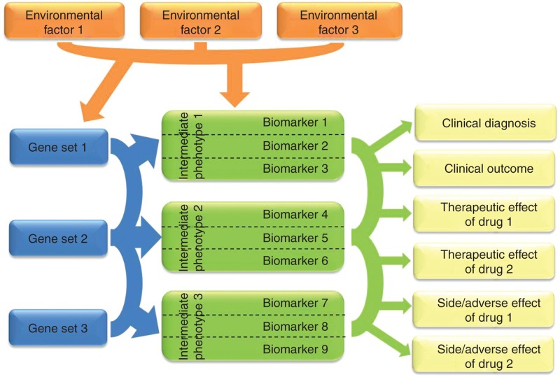 Biomarkers for personalised treatment in psychiatric diseases.