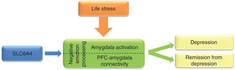 Biomarkers for personalised treatment in psychiatric diseases.