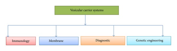 Pharmacosomes: an emerging novel vesicular drug delivery system for poorly soluble synthetic and herbal drugs.