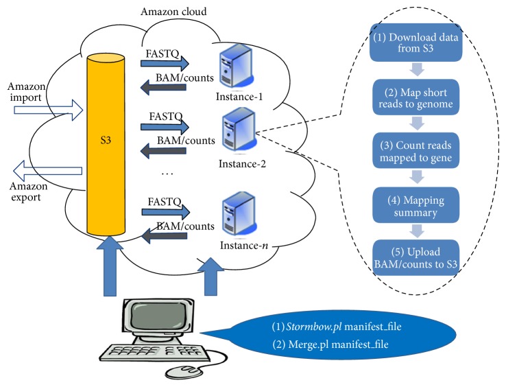 Stormbow: A Cloud-Based Tool for Reads Mapping and Expression Quantification in Large-Scale RNA-Seq Studies.