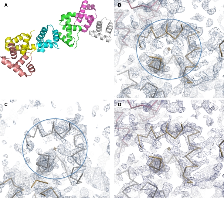 Finding non-crystallographic symmetry in density maps of macromolecular structures.