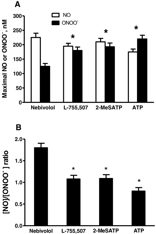 The favorable kinetics and balance of nebivolol-stimulated nitric oxide and peroxynitrite release in human endothelial cells.