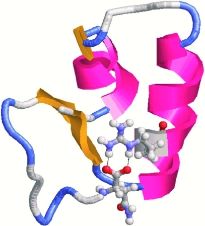 Topological Properties of Chemical Bonds from Static and Dynamic Electron Densities.