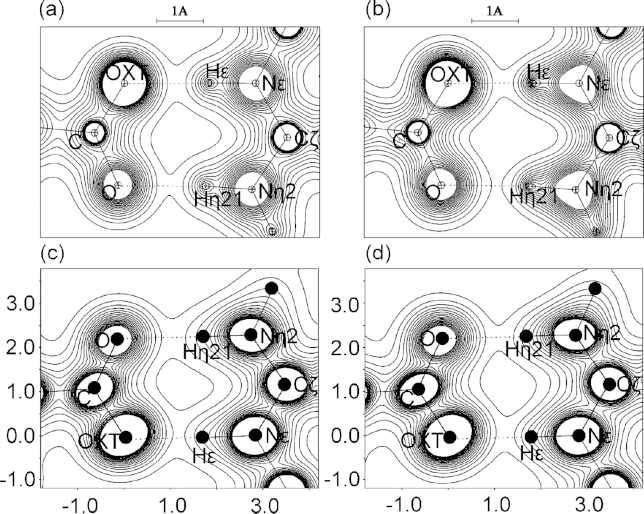 Topological Properties of Chemical Bonds from Static and Dynamic Electron Densities.