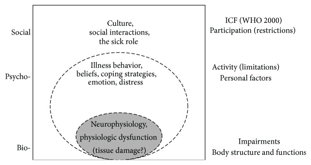 A Health- and Resource-Oriented Perspective on NSLBP.