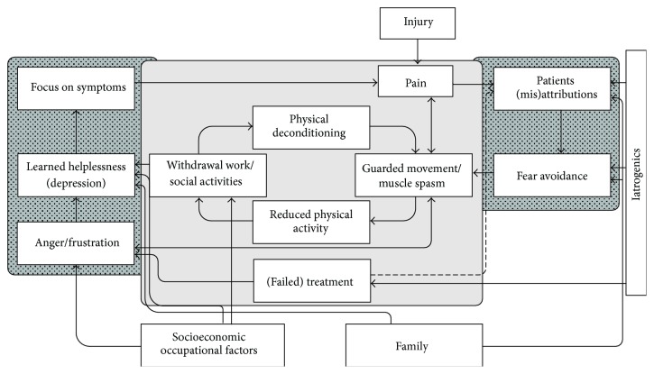 A Health- and Resource-Oriented Perspective on NSLBP.