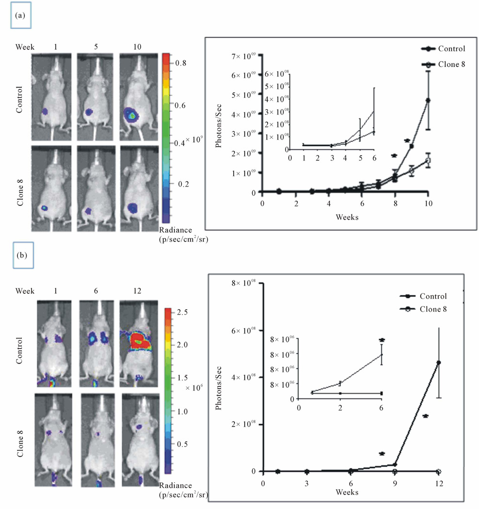 The Aryl Hydrocarbon Receptor: A Target for Breast Cancer Therapy.