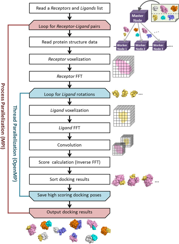 MEGADOCK 3.0: a high-performance protein-protein interaction prediction software using hybrid parallel computing for petascale supercomputing environments.