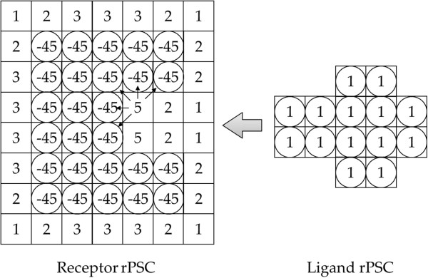 MEGADOCK 3.0: a high-performance protein-protein interaction prediction software using hybrid parallel computing for petascale supercomputing environments.