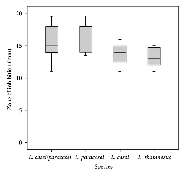 16S rRNA PCR-Denaturing Gradient Gel Electrophoresis of Oral Lactobacillus casei Group and Their Phenotypic Appearances.